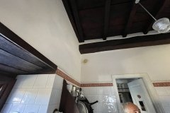 IMG_4201