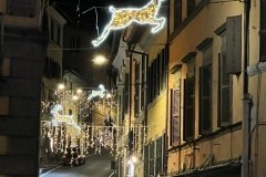 IMG_4222